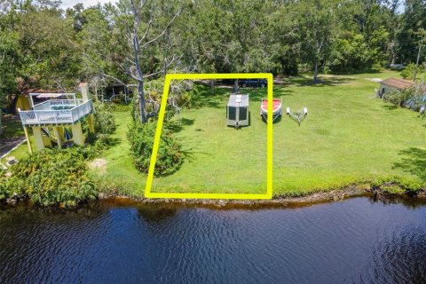 Land in Holiday, Florida № 1838920 - photo 1