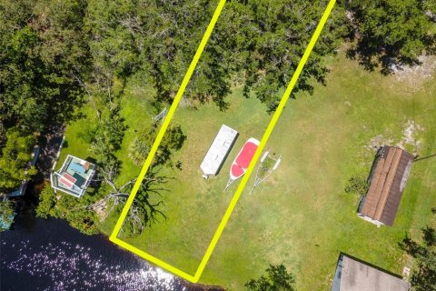 Land in Holiday, Florida № 1838920 - photo 3