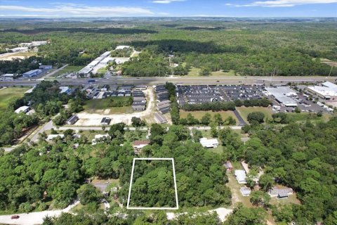 Land in Homosassa, Florida № 2163639