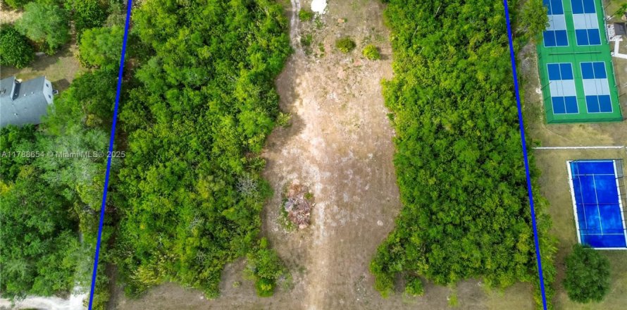 Коммерческая недвижимость в Хомстед, Флорида № 1959008