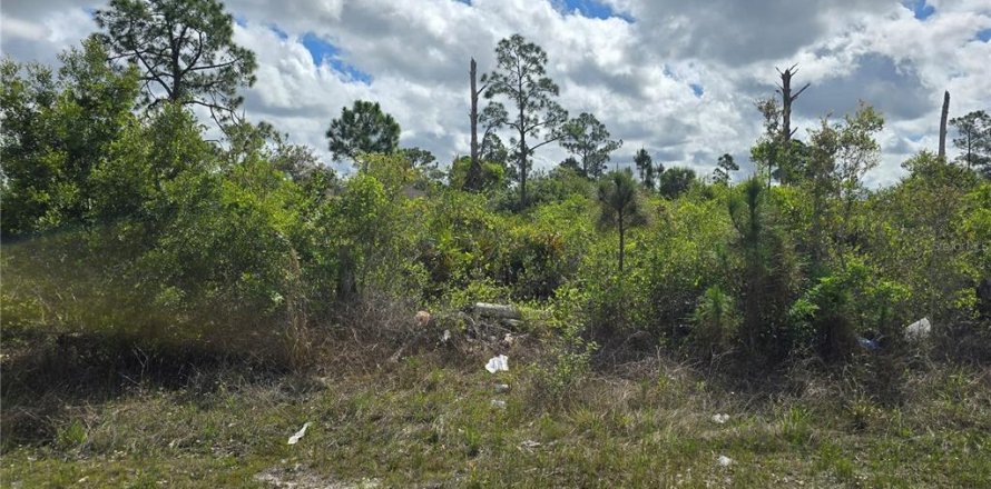 Land in Lehigh Acres, Florida № 2210763