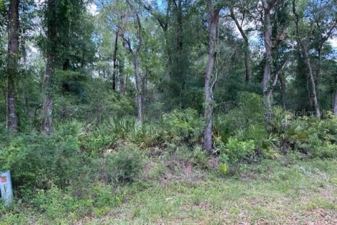 Terreno en Webster, Florida № 2195163