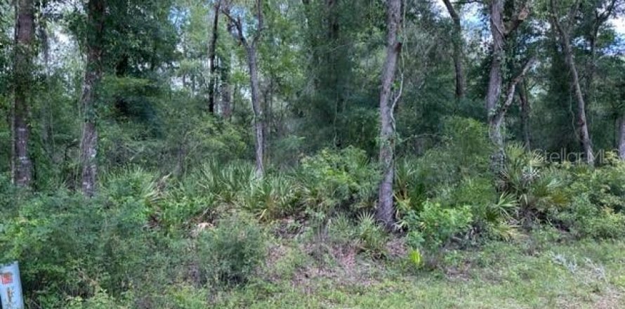 Terrain à Webster, Floride № 2195163