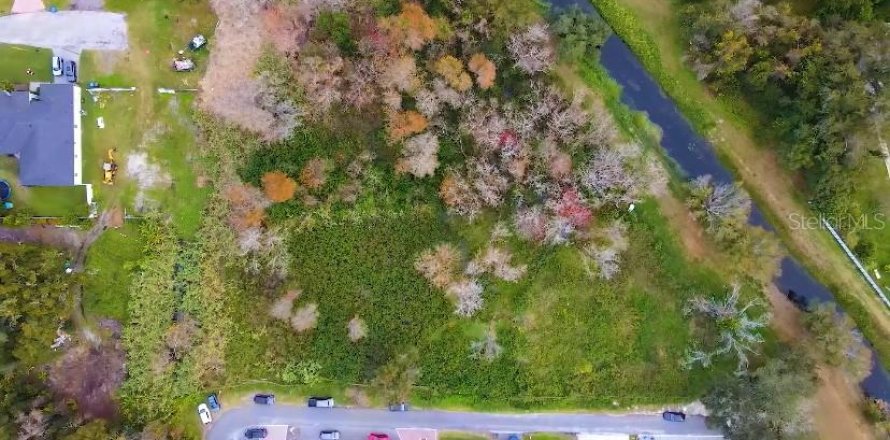 Terreno en Tampa, Florida № 1283243
