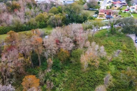 Terreno en venta en Tampa, Florida № 1283243 - foto 4