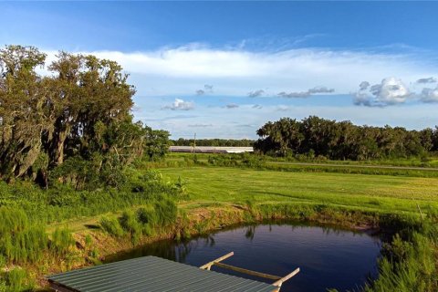 Terrain à Parrish, Floride № 2204880