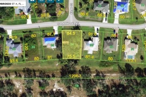 Land in Punta Gorda, Florida № 2159240