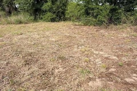 Land in Sumter, Florida № 2162499 - photo 8