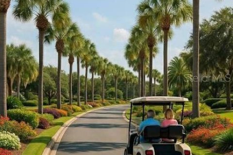 Land in Sumter, Florida № 2162499 - photo 3