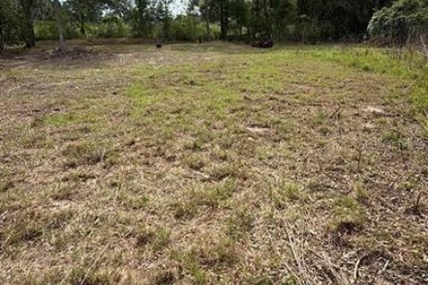 Land in Sumter, Florida № 2162499 - photo 6