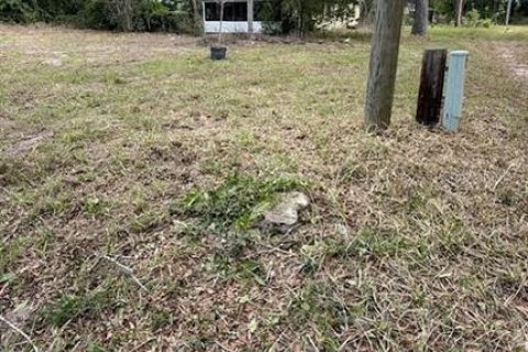 Land in Sumter, Florida № 2162499 - photo 4