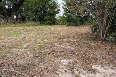 Land in Sumter, Florida № 2162499 - photo 7