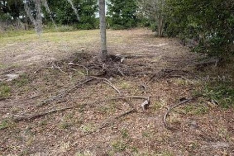 Land in Sumter, Florida № 2162499 - photo 5