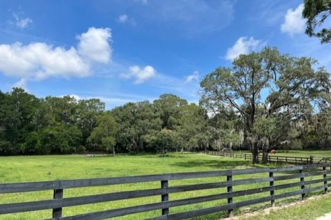 Casa en alquiler en Ocala, Florida, 3 dormitorios, 158.12 m2 № 1578877 - foto 7