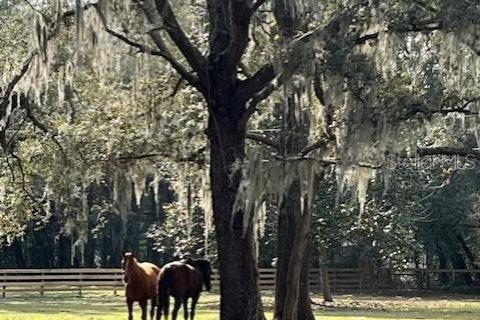 Casa en alquiler en Ocala, Florida, 3 dormitorios, 158.12 m2 № 1578877 - foto 6