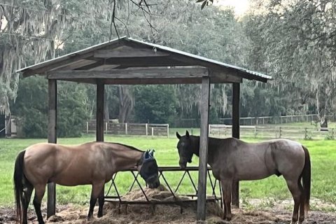 Casa en alquiler en Ocala, Florida, 3 dormitorios, 158.12 m2 № 1578877 - foto 8