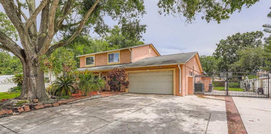House in Tampa, Florida 5 bedrooms, 257.53 sq.m. № 1821363
