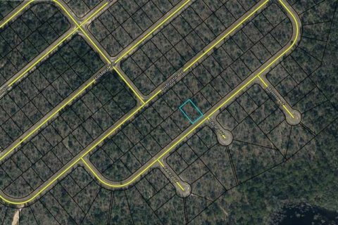 Land in Chipley, Florida № 2164439 - photo 2