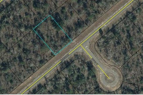 Land in Chipley, Florida № 2164439 - photo 3