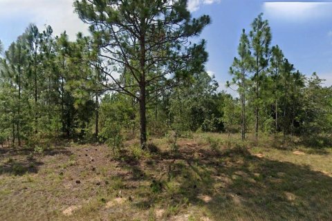 Terreno en Chipley, Florida № 2164439