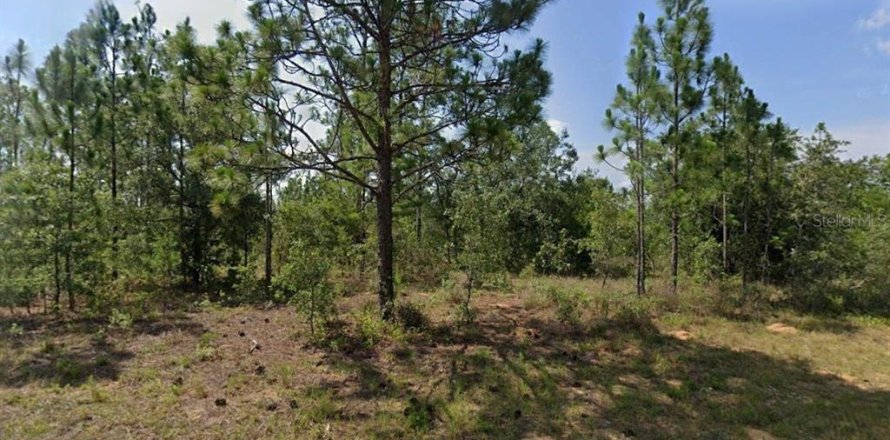 Land in Chipley, Florida № 2164439