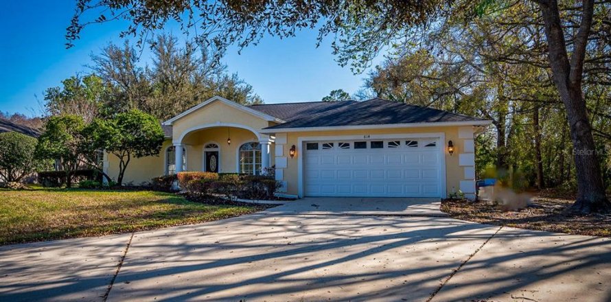 House in Lutz, Florida 4 bedrooms, 264.68 sq.m. № 2151717