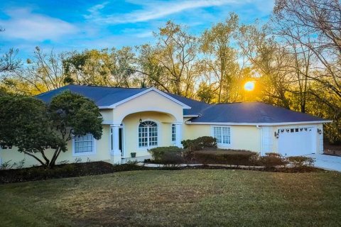 House in Lutz, Florida 4 bedrooms, 264.68 sq.m. № 2151717 - photo 2