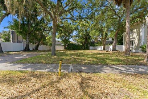 Land in Tampa, Florida № 2120207 - photo 2