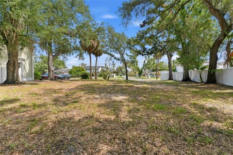 Land in Tampa, Florida № 2120207