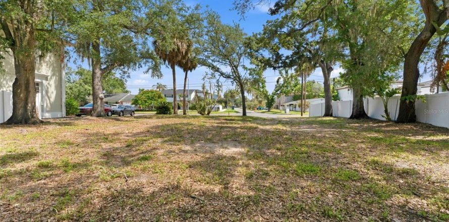 Land in Tampa, Florida № 2120207