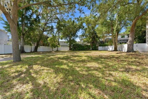 Land in Tampa, Florida № 2120207 - photo 5