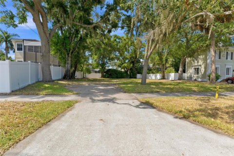 Land in Tampa, Florida № 2120207 - photo 4