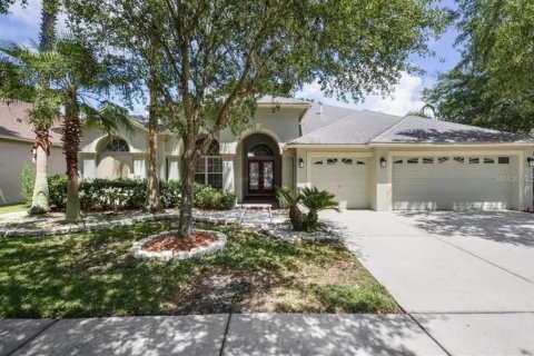 House in Tampa, Florida 4 bedrooms, 264.12 sq.m. № 2360751