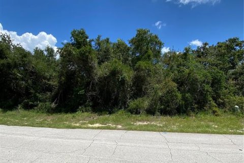 Land in Deltona, Florida № 1887048 - photo 1