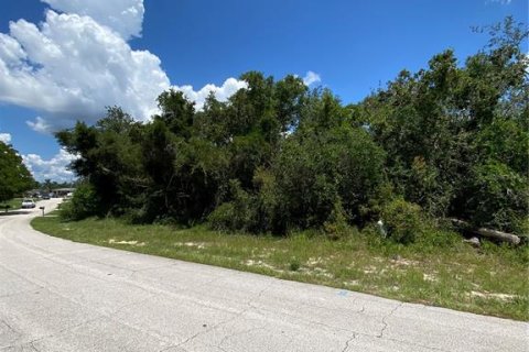 Land in Deltona, Florida № 1887048 - photo 2