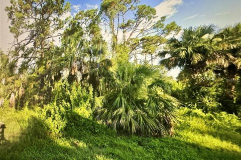 Land in Port Charlotte, Florida № 2161278
