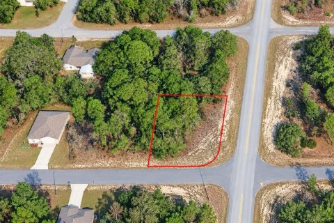 Land in Citrus Springs, Florida № 2361052