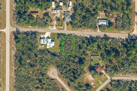 Land in Lake Placid, Florida № 2211516 - photo 4