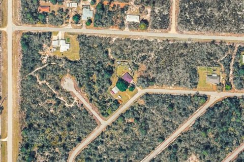 Land in Lake Placid, Florida № 2211516 - photo 3