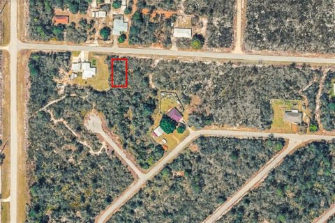 Land in Lake Placid, Florida № 2211516 - photo 2
