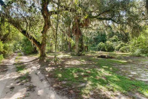 Villa ou maison à vendre à Hawthorne, Floride: 3 chambres, 201.04 m2 № 2321633 - photo 27