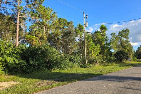 Terreno en Lehigh Acres, Florida № 2164398