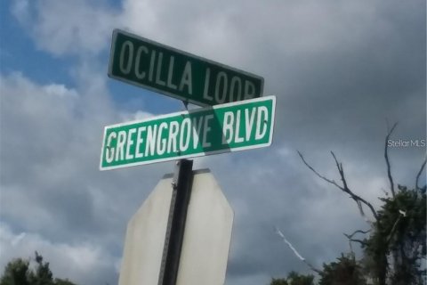 Land in Clermont, Florida № 1853484 - photo 1