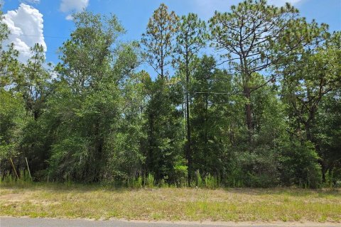 Terrain à vendre à Dunnellon, Floride № 2211014 - photo 2