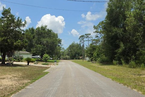 Terrain à vendre à Dunnellon, Floride № 2211014 - photo 4