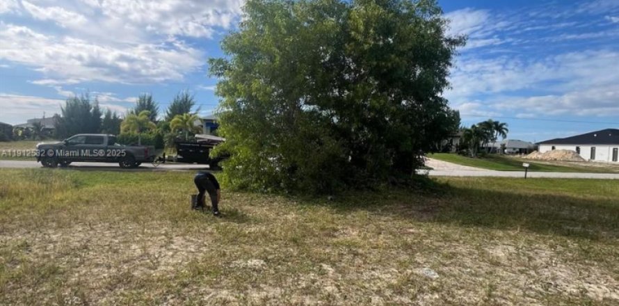 Propiedad comercial en Cape Coral, Florida № 2054851