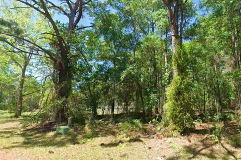 Land in Lecanto, Florida № 2161641