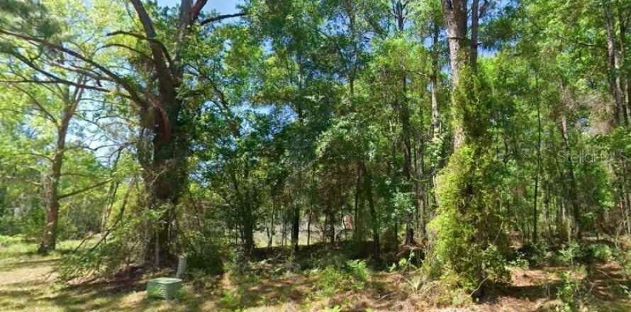 Land in Lecanto, Florida № 2161641