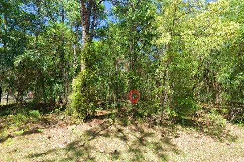 Land in Lecanto, Florida № 2161641 - photo 2
