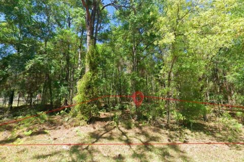 Land in Lecanto, Florida № 2161641 - photo 4